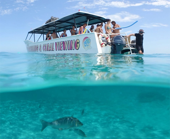 Glass boat sharm el sheik