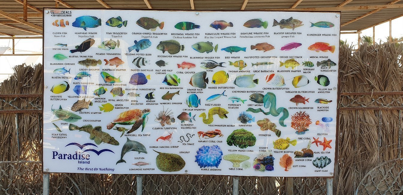 20190819-171402-largejpg